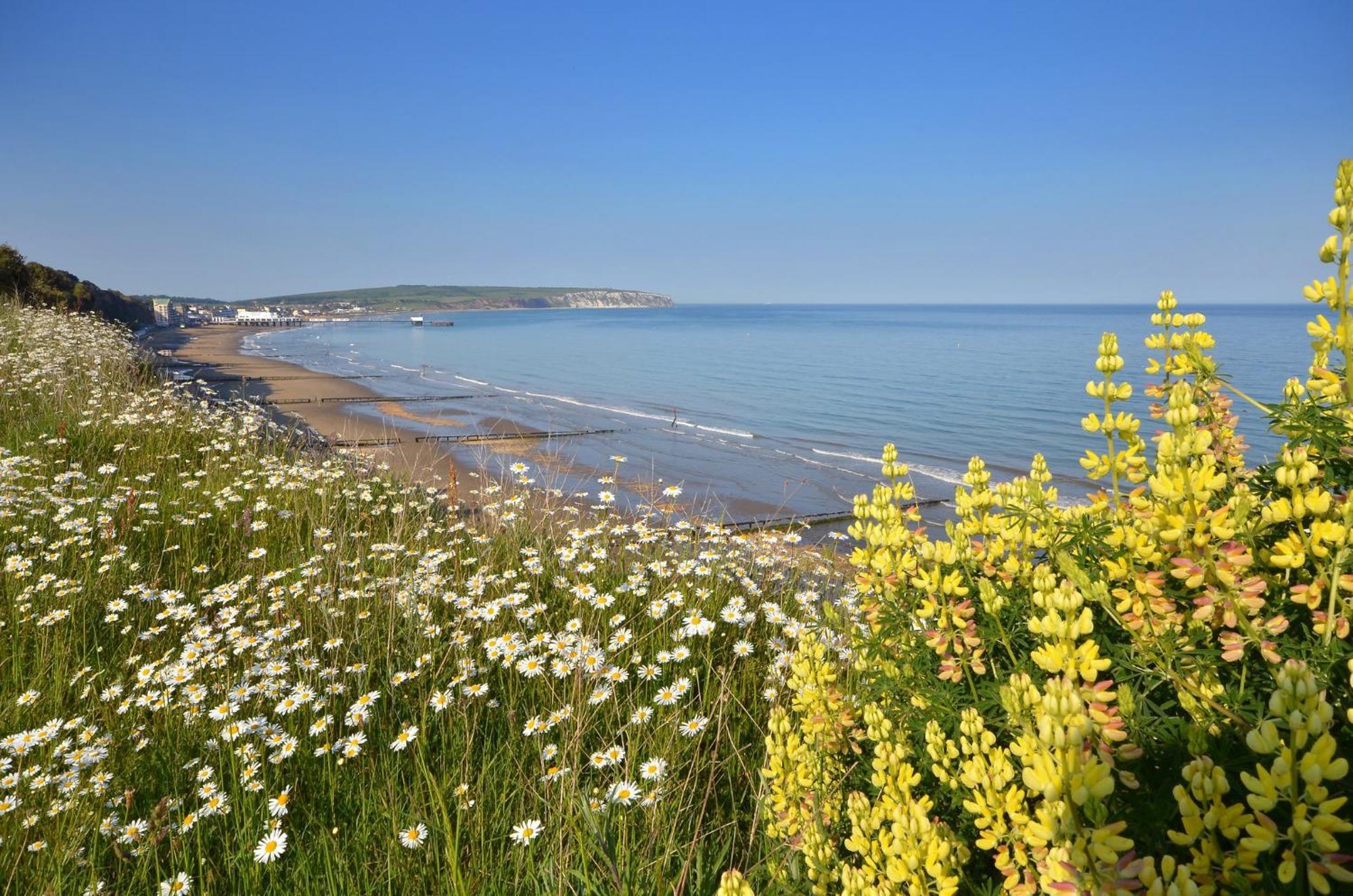 Вілла The Haven - Isle Of Wight Сандаун Екстер'єр фото